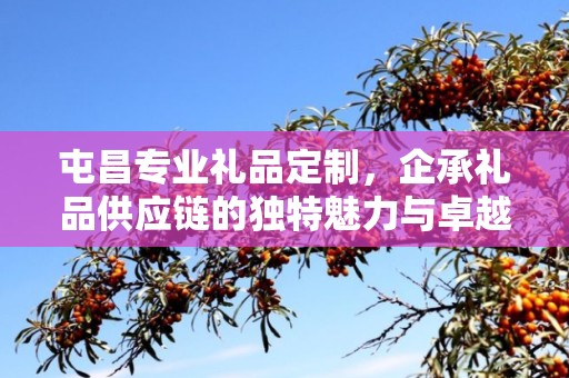 屯昌专业礼品定制，企承礼品供应链的独特魅力与卓越服务